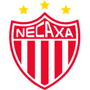 拿加沙logo