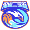 深圳二实logo
