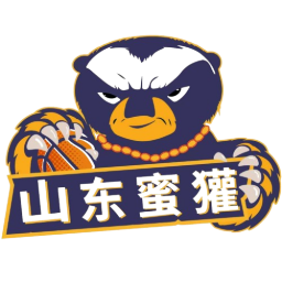 山东蜜獾logo