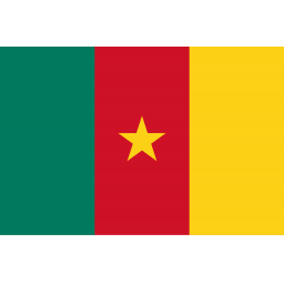 喀麦隆logo