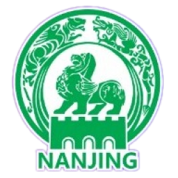 南京队logo